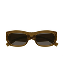 Shiny Brown-Brown