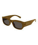 Shiny Brown-Brown