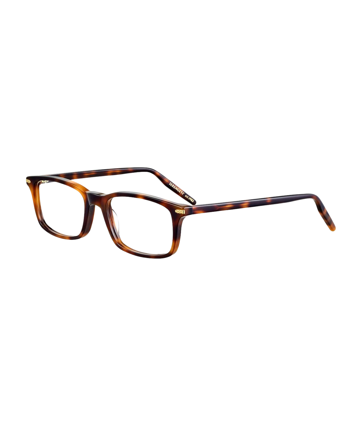 Shiny Tortoise Havana