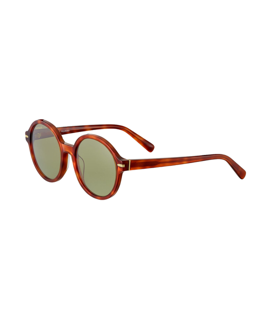 Shiny Classic Havana-555nm