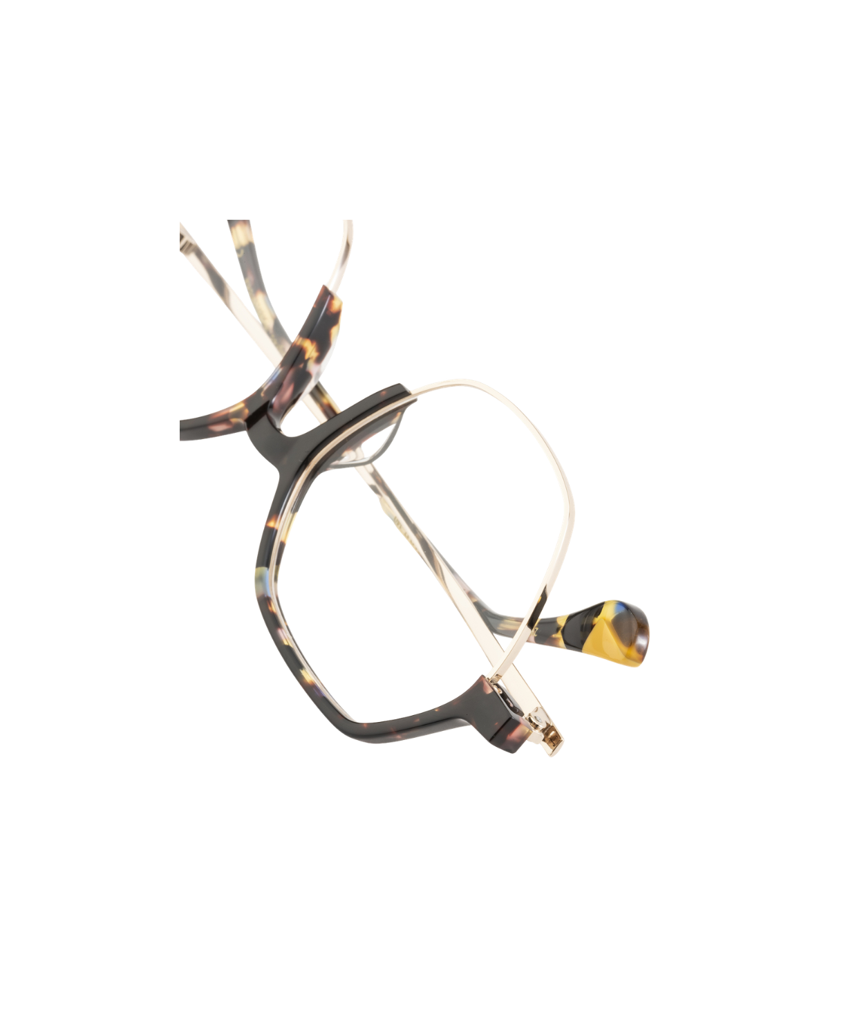 Black Tortoise/Gold