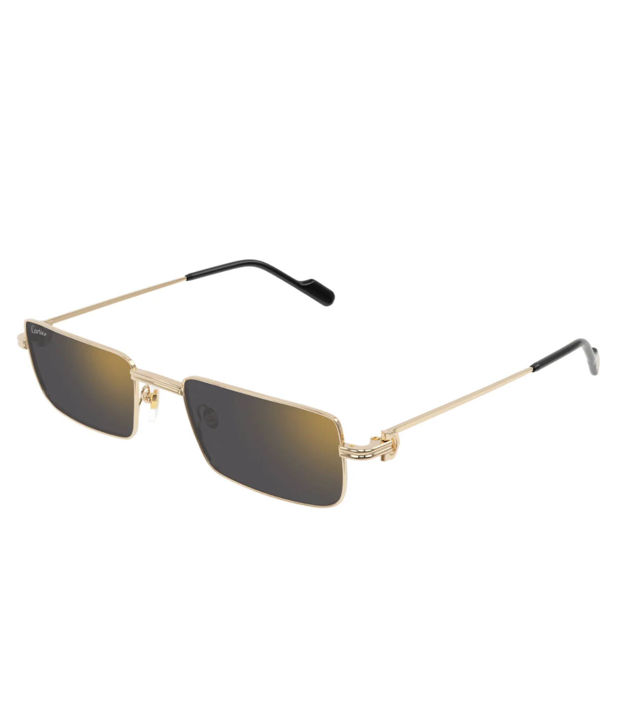 Cartier CT0501S Rectangle Sunglasses