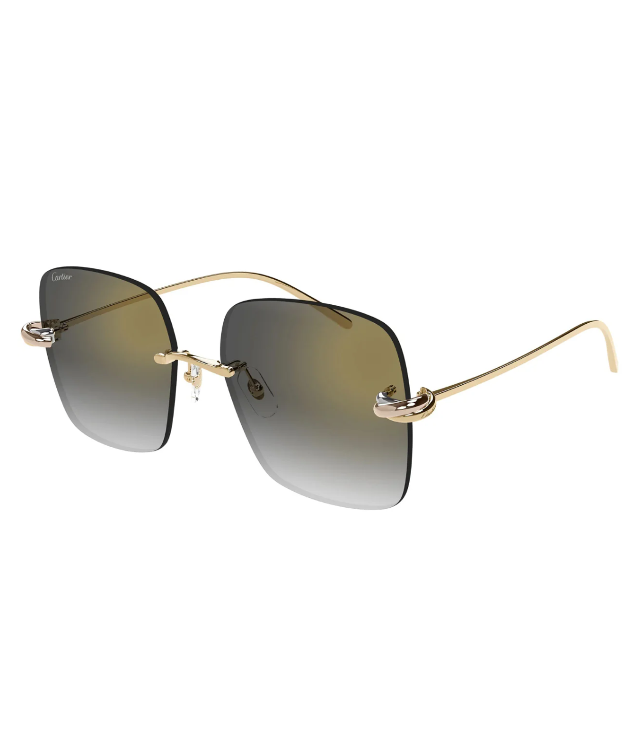 Cartier Limited Edition CT0508S Square Sunglasses