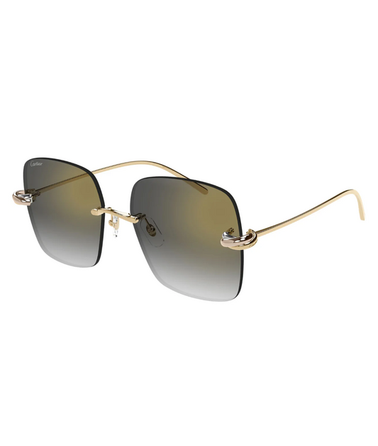 Cartier Limited Edition CT0508S Square Sunglasses