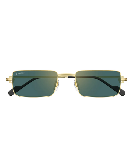 Cartier CT0501S Rectangle Sunglasses