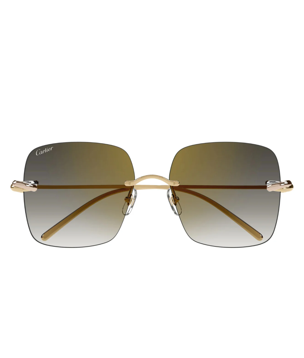 Cartier Limited Edition CT0508S Square Sunglasses